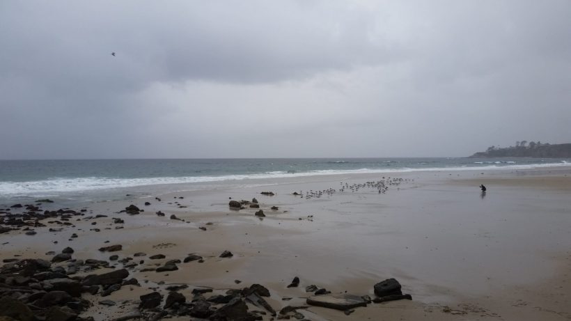 15271885_10154778028474776_6318546513650062579_o